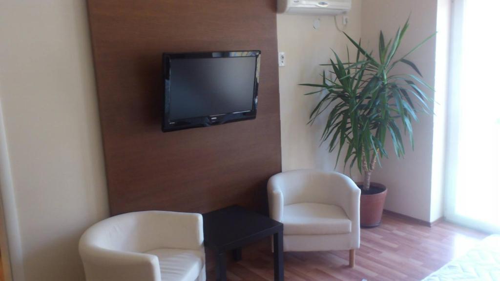 Μια τηλεόραση ή/και κέντρο ψυχαγωγίας στο Apartment Mašić