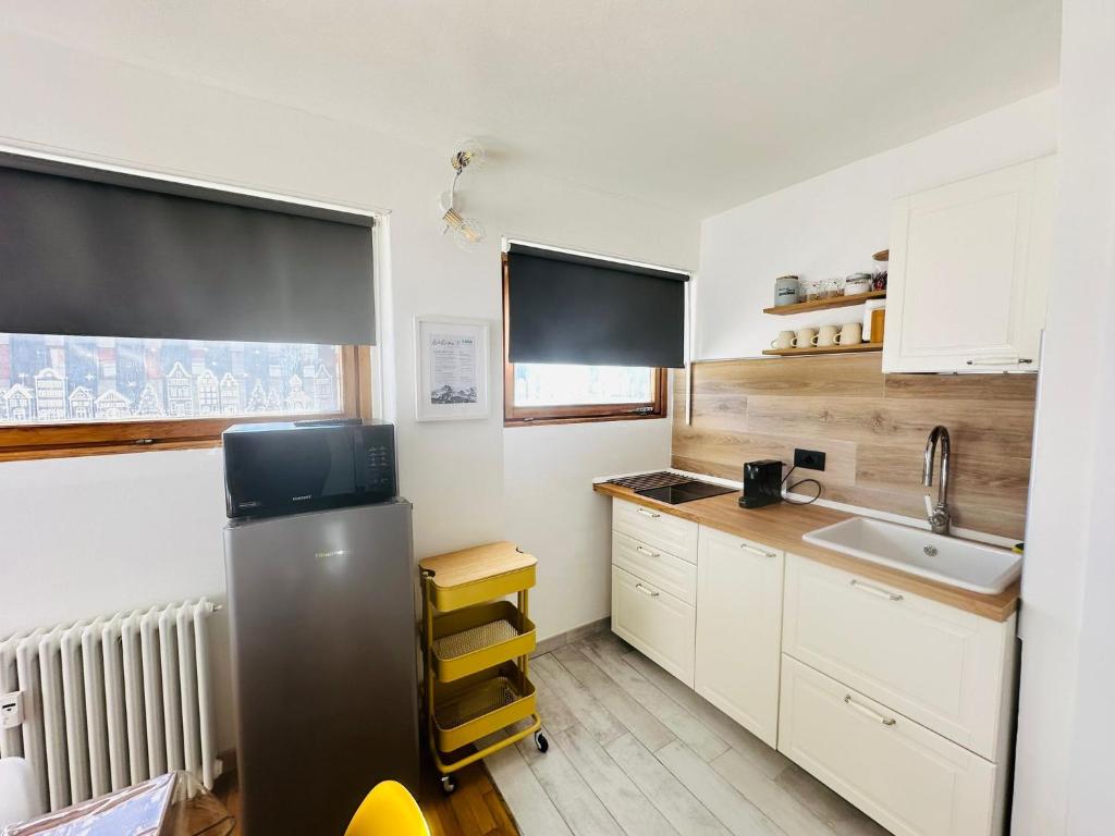 a kitchen with a refrigerator and a sink at Casa Amanda in Sestriere