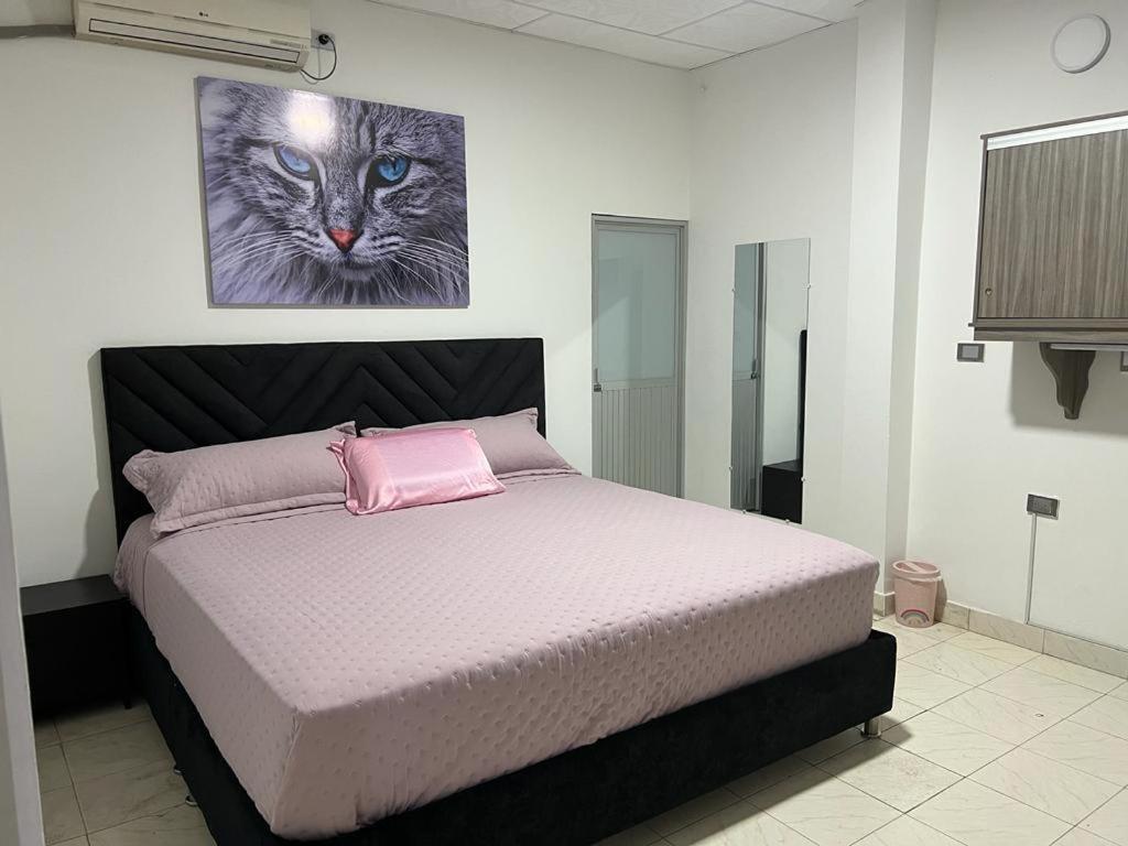 1 dormitorio con 1 cama con una foto de un gato en COOL HOUSE 24Horas, en Arauca
