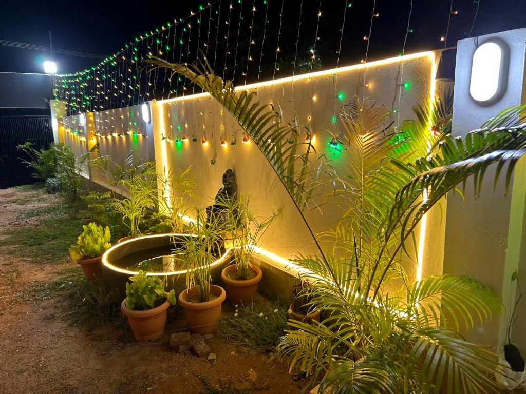 un jardín con plantas y luces en una valla en Selvas Eden Resort with river view near boat house, en Pondicherry