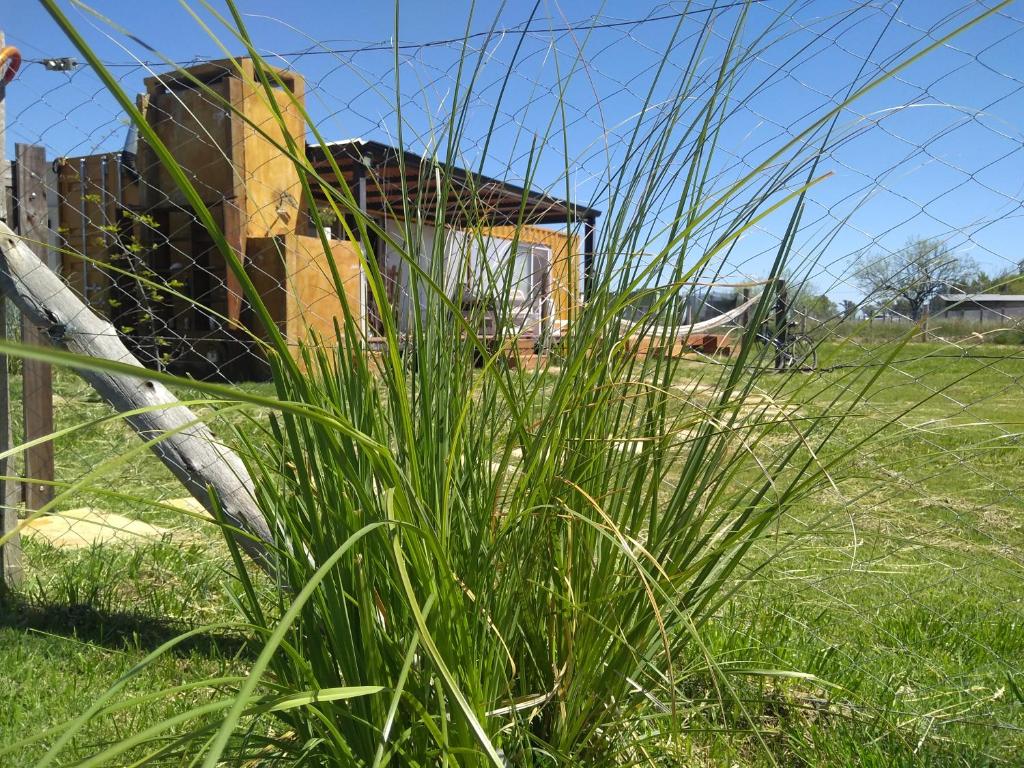 ein Haus hinter einem Zaun mit hohem Gras in der Unterkunft Pensamientos del alma (Uribelarrea) in Uribelarrea