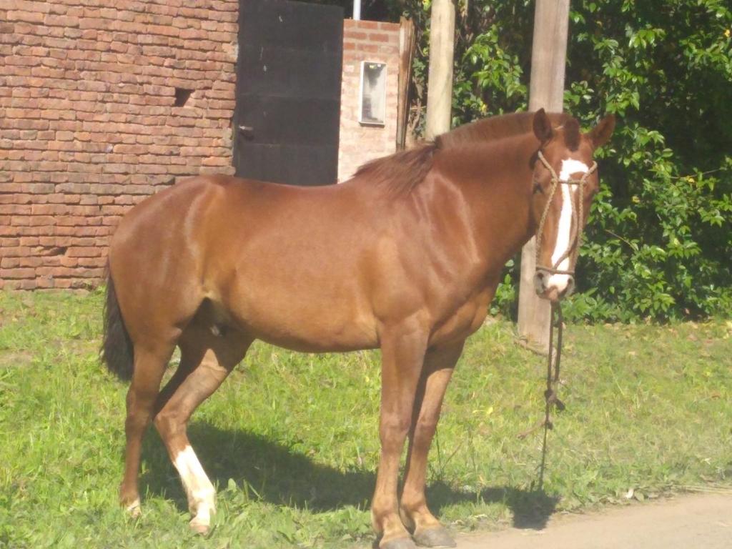 Pensamientos del alma (Uribelarrea)