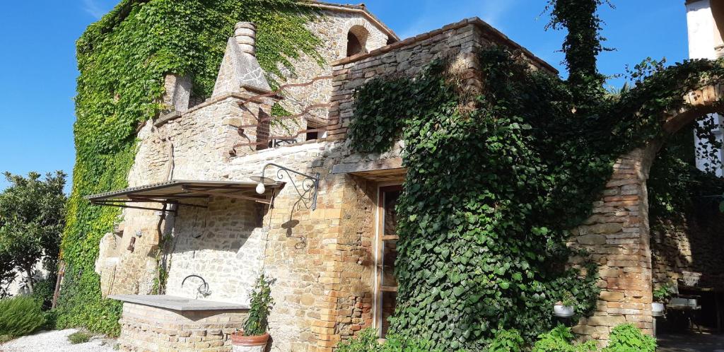 un vecchio edificio con edera che cresce sul lato. di Antico-Borgo-Le-Torricelle-Studio a Piandimeleto