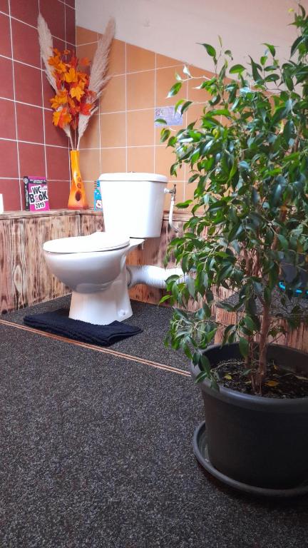 Koupelna v ubytování O'PHILDELAU