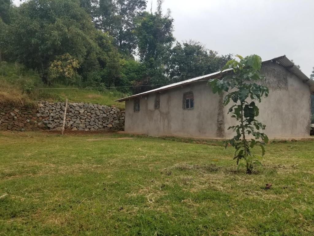 a building in a field next to a stone wall at Sunrise homestay Sipi in Kapchorwa