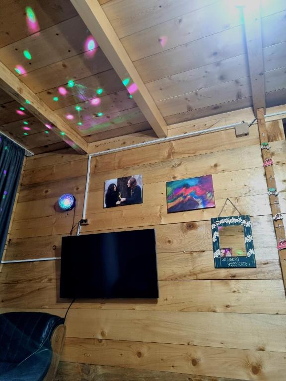 TV a/nebo společenská místnost v ubytování Cottage SuBree on Goderdzi