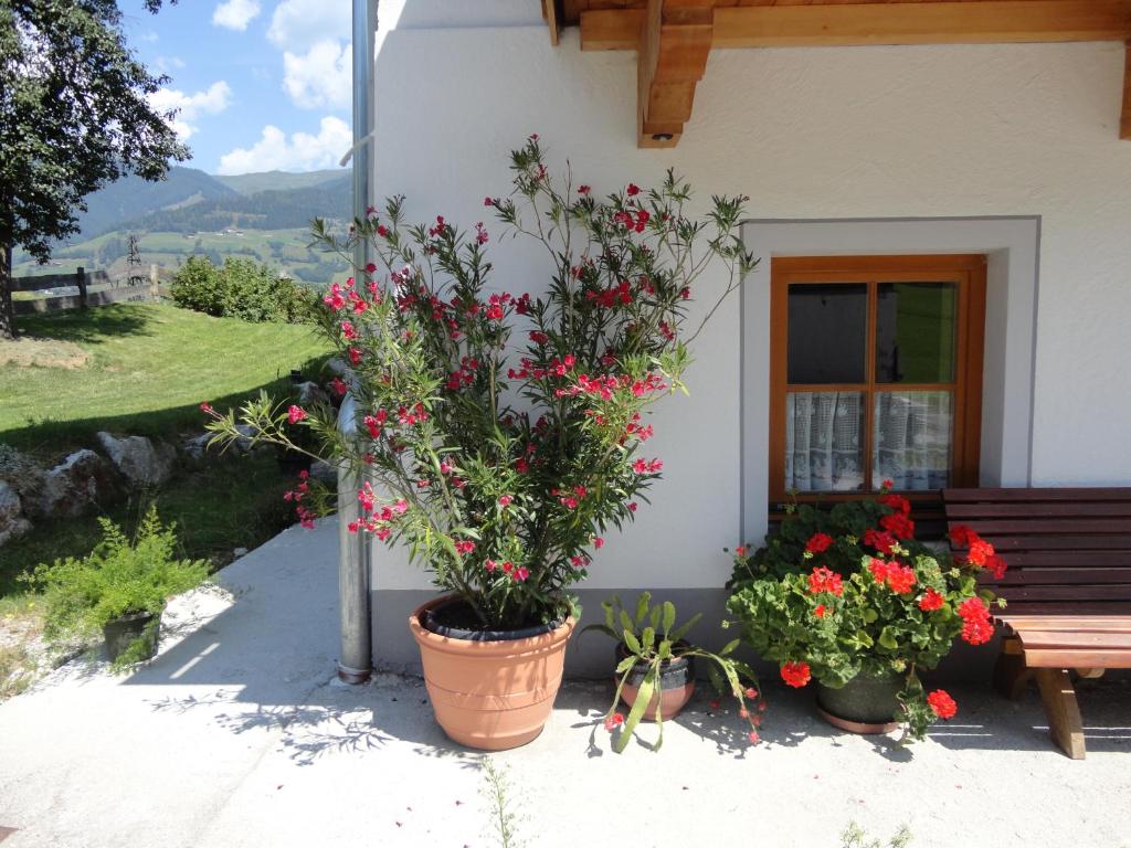 A garden outside Landhaus Ganzer