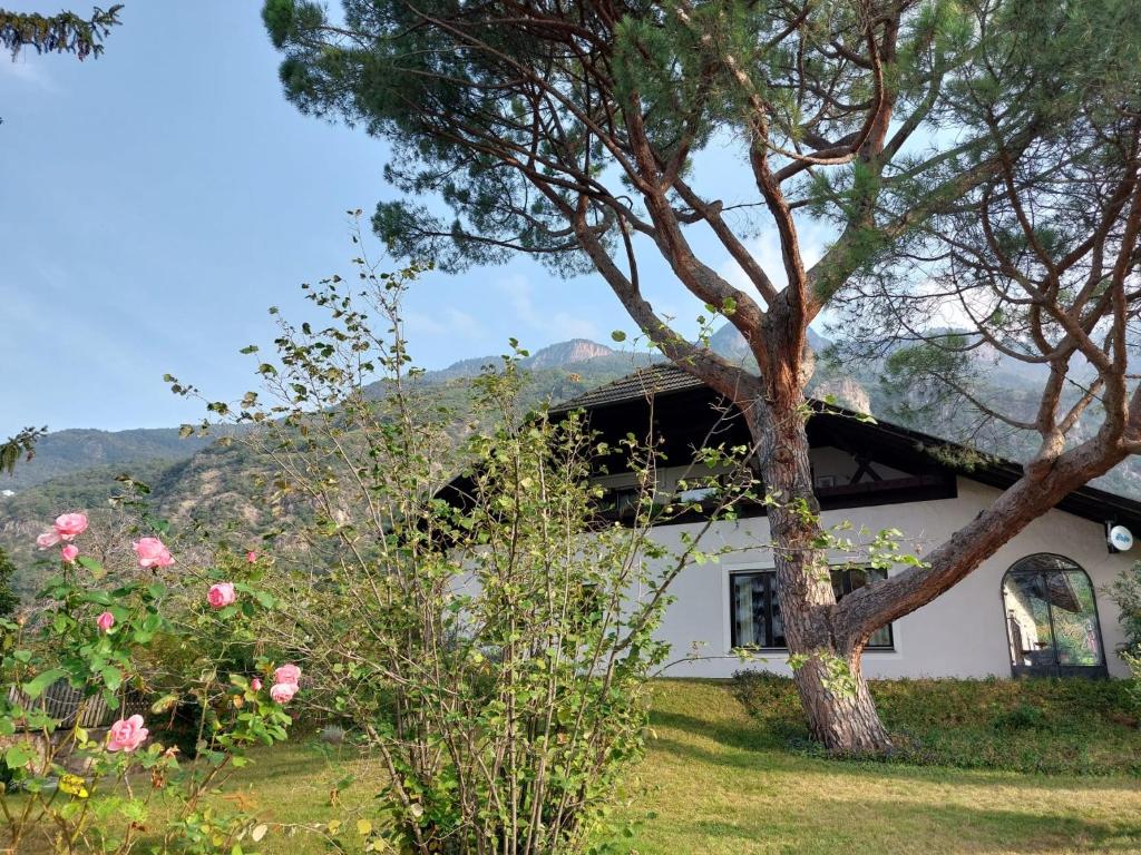 Nespecifikovaný výhled na hory nebo výhled na hory při pohledu z apartmánu