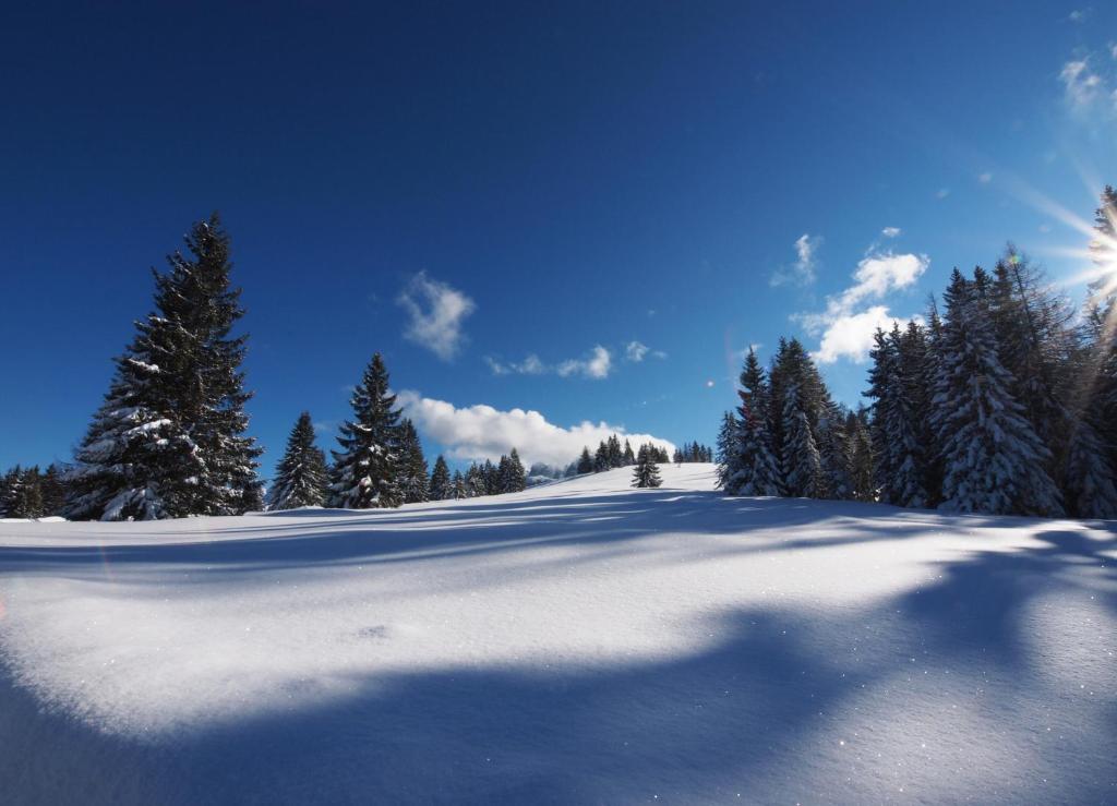 Alpenapartments Unterschlag v zimě