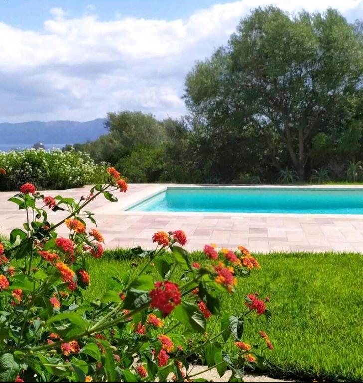 une piscine dans une cour fleurie dans l'établissement Mare&Rocce, à Olbia