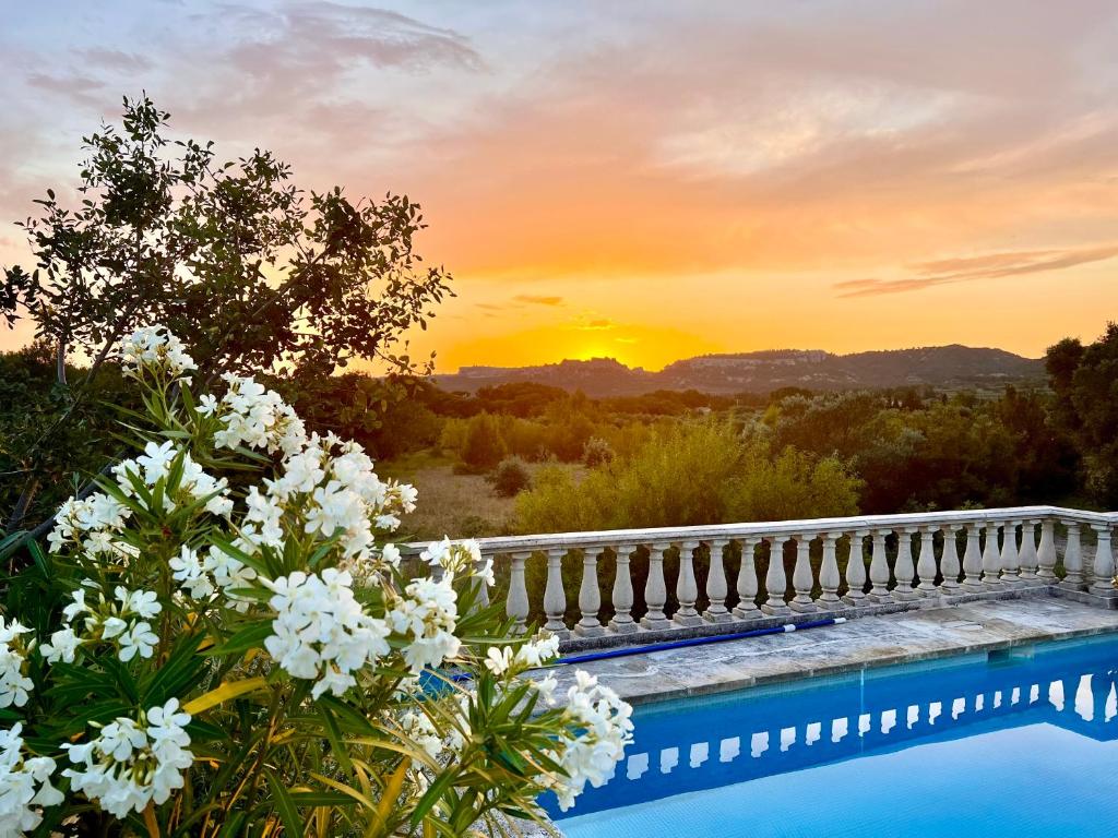 une piscine avec des fleurs et un coucher de soleil en arrière-plan dans l'établissement Mas provençal dans les Alpilles, aux Baux-de-Provence