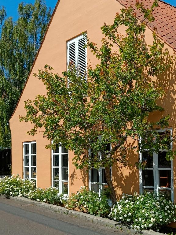 Zahrada ubytování Aroma Guesthouse