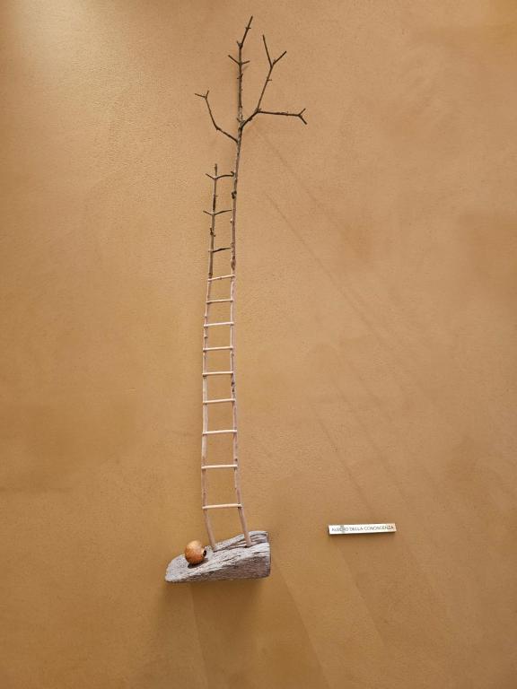 PALAZZO CIOPETA - Italian Excellence - 13