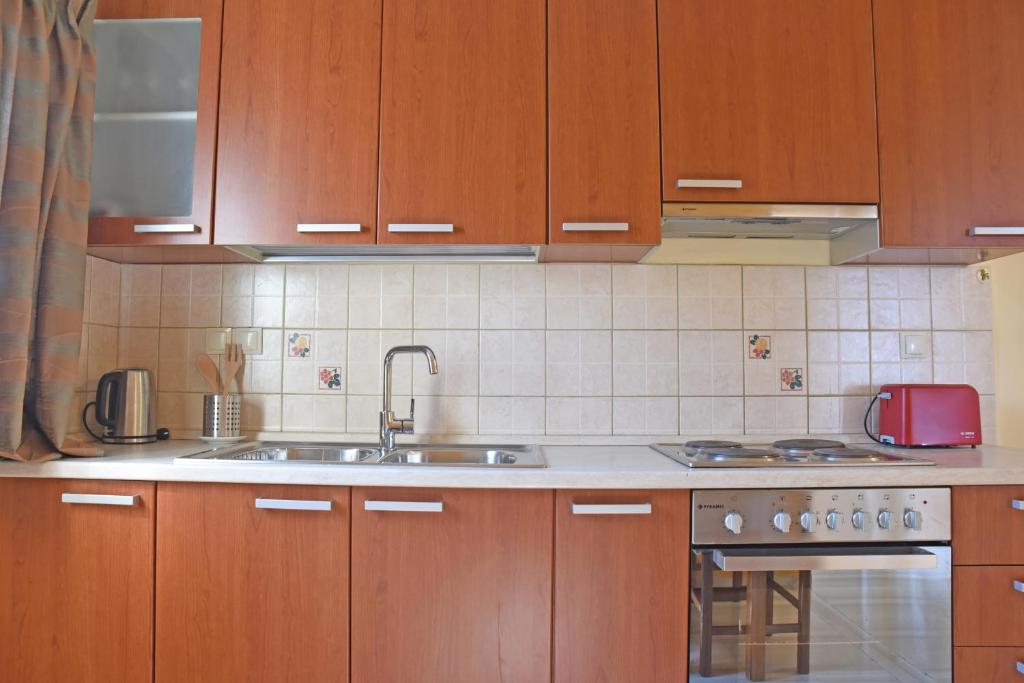 Kuchyňa alebo kuchynka v ubytovaní Butterfly Barbati apartments
