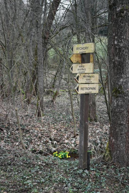 Příroda nedaleko apartmánu