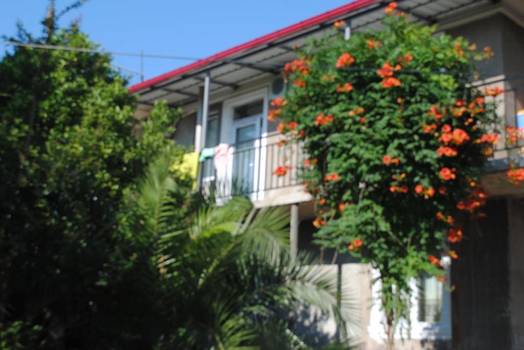 a house with a tree with orange flowers on it at Giga Guest House in Makhinjauri