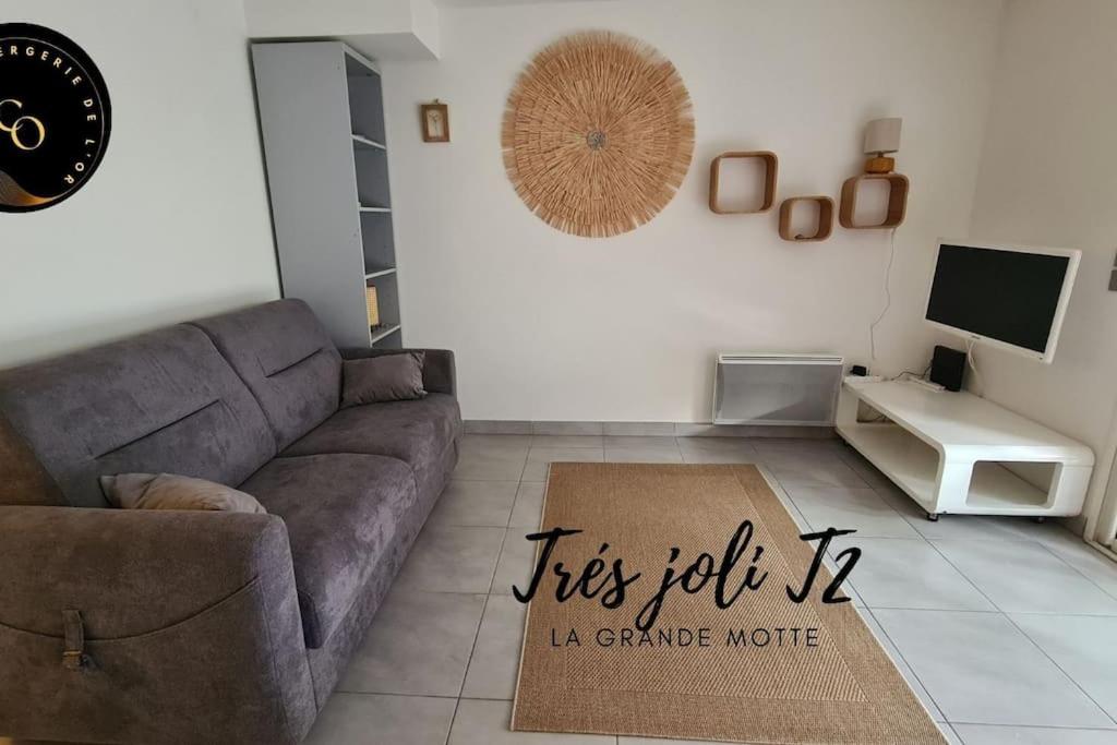 un salon avec un canapé et une table dans l'établissement Superbe T2, à 5 min de la plage, avec garage, à La Grande Motte