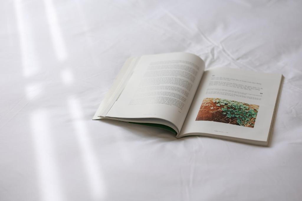 Lemi - Homestay in Hue - 3