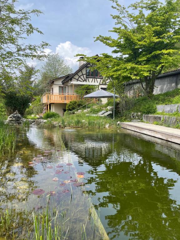 a house with a pond in front of it at Wohlfühl-Haus mit Panoramablick in Oberneuforn