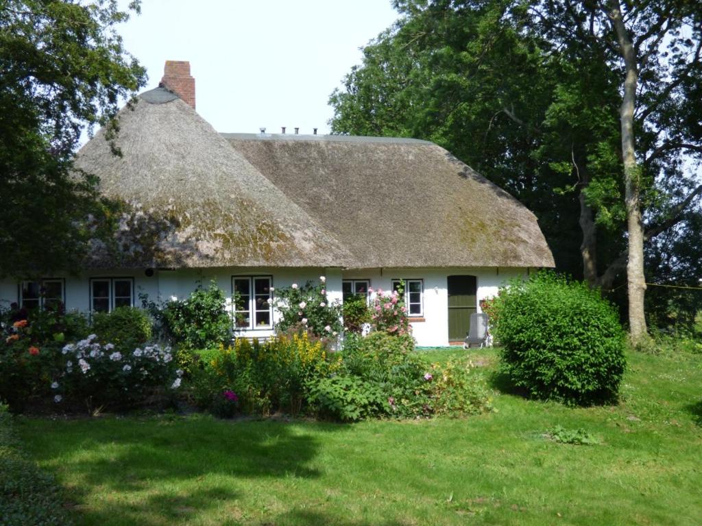 a white house with a thatched roof with flowers at Wasserkoog 22 in Tetenbüll