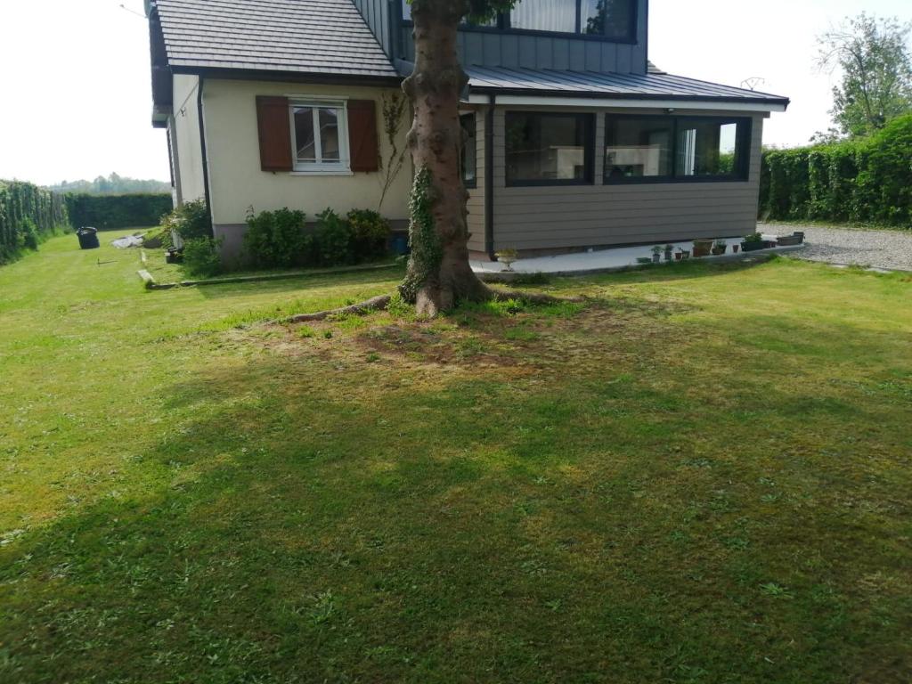 a house with a tree in the yard at Calme et Nature in Rouen