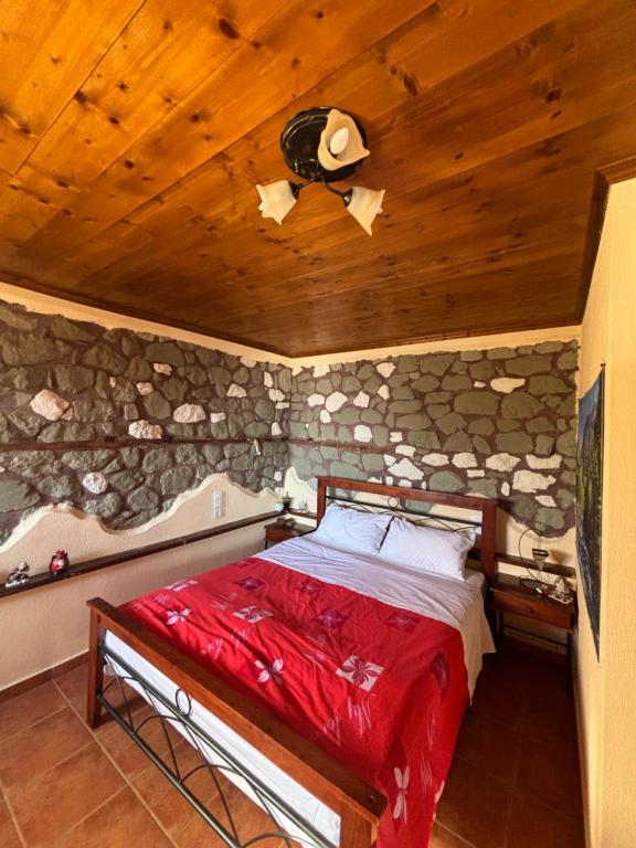 Πέτρινο Όραμα - Double Room With Mountain View