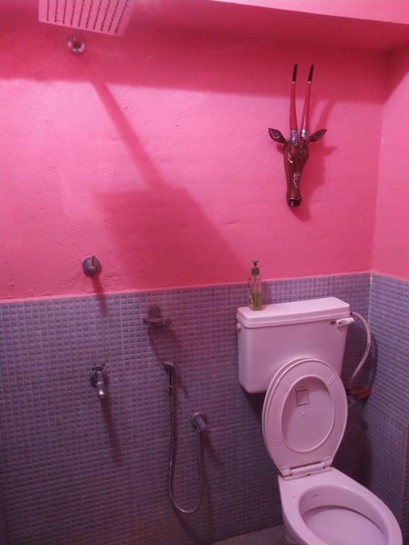 a pink bathroom with a toilet and a toy animal head on the wall at Sundance Beach Villa on Princess Street in Cochin