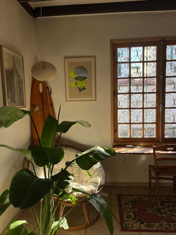 Posezení v ubytování L'escale Surf Hostel - Auberge de jeunesse