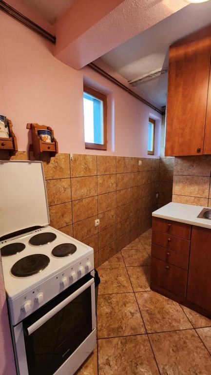 Kuchyň nebo kuchyňský kout v ubytování Olja Guest House