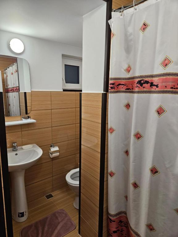 Pensiunea IO-MARA - Überlegener Familienzimmer