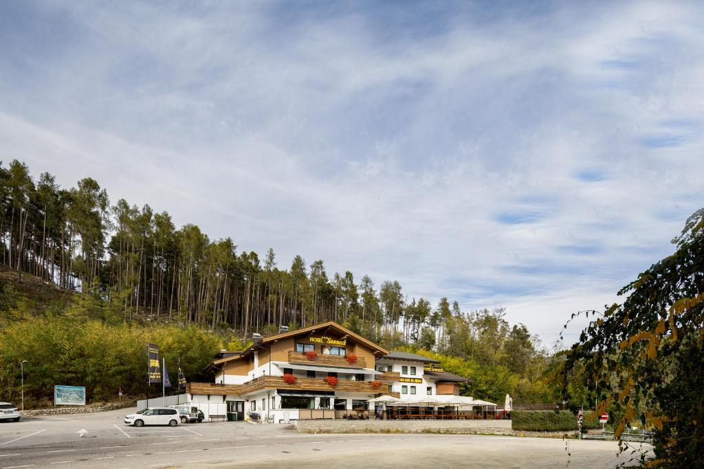 Příroda nedaleko hotelu