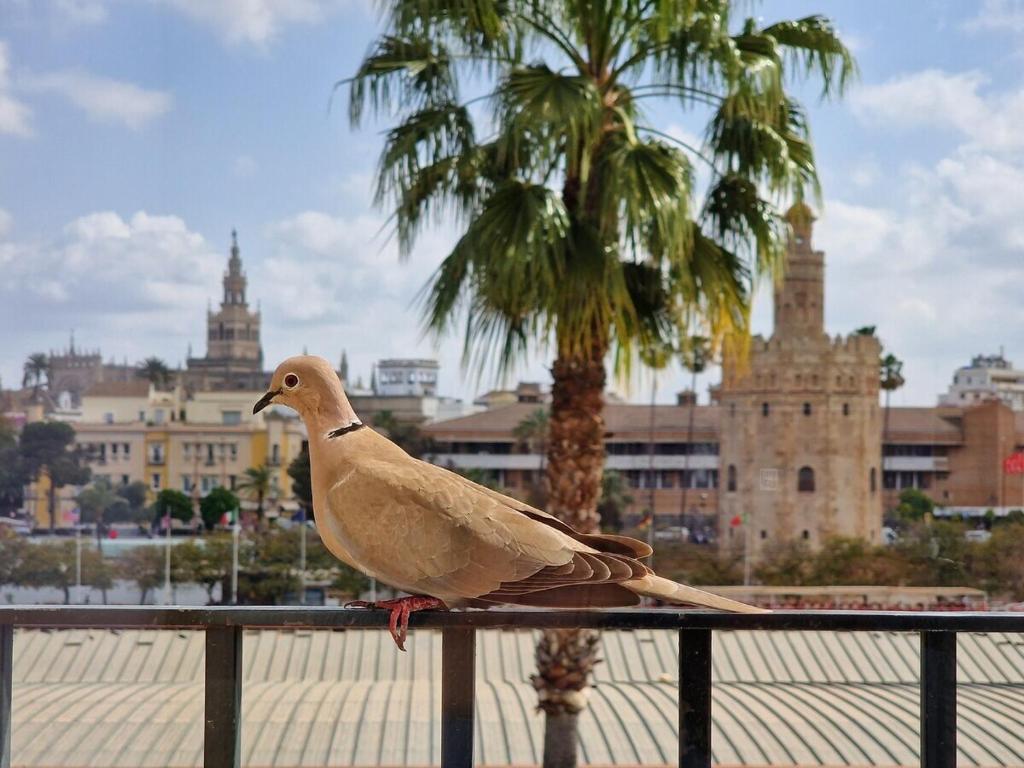 un pájaro sentado en una valla delante de una ciudad en Betis del Oro en Sevilla