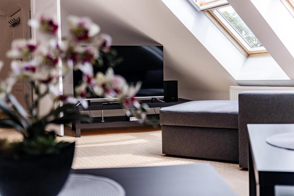 a living room with a couch and a tv at Elbpanorama Lauenburg in Hohnstorf