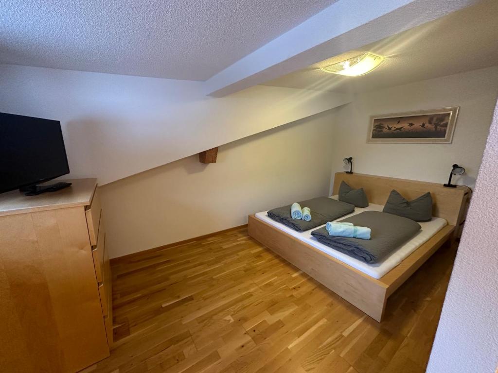 Televízia a/alebo spoločenská miestnosť v ubytovaní Haus Ausserbach