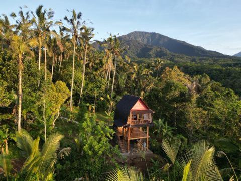a small house in the middle of a forest at Bali jungle cabin in Jatiluwih