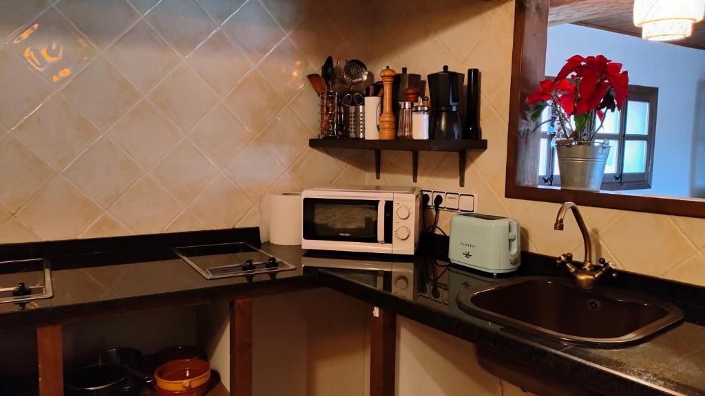 Kuchyň nebo kuchyňský kout v ubytování Cal Tous, La Socarrimada