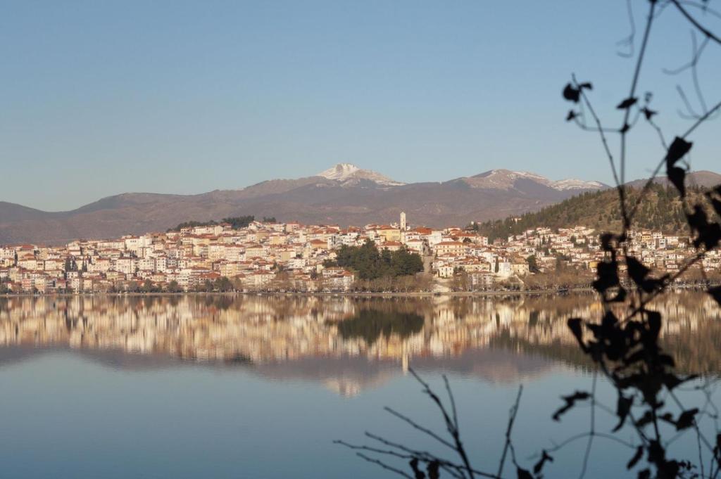 a view of a city on the water at Daphne Luxury Apartment in Kastoria
