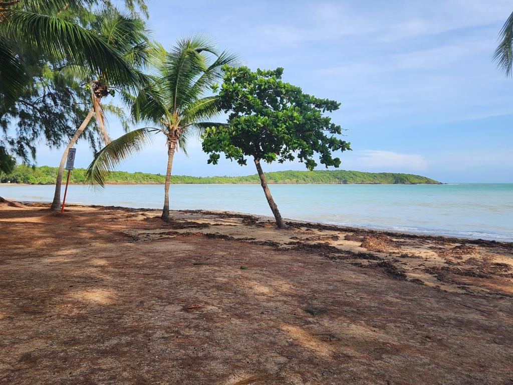 two palm trees on a sandy beach near the water at Beautiful Caribbean Waters - 7 Seas Beach, El Yunque, Icacos Island in Fajardo
