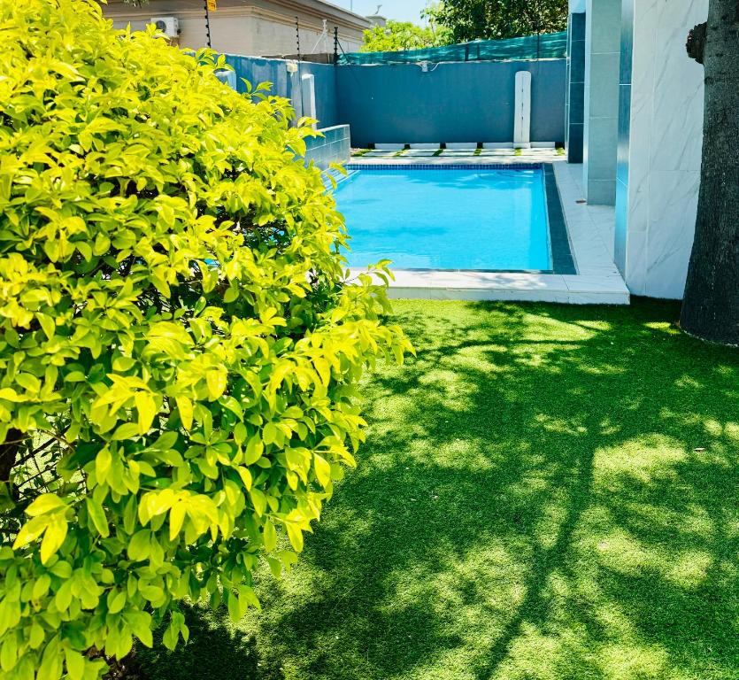 a green bush in front of a swimming pool at Monaco villa Gaborone in Gaborone