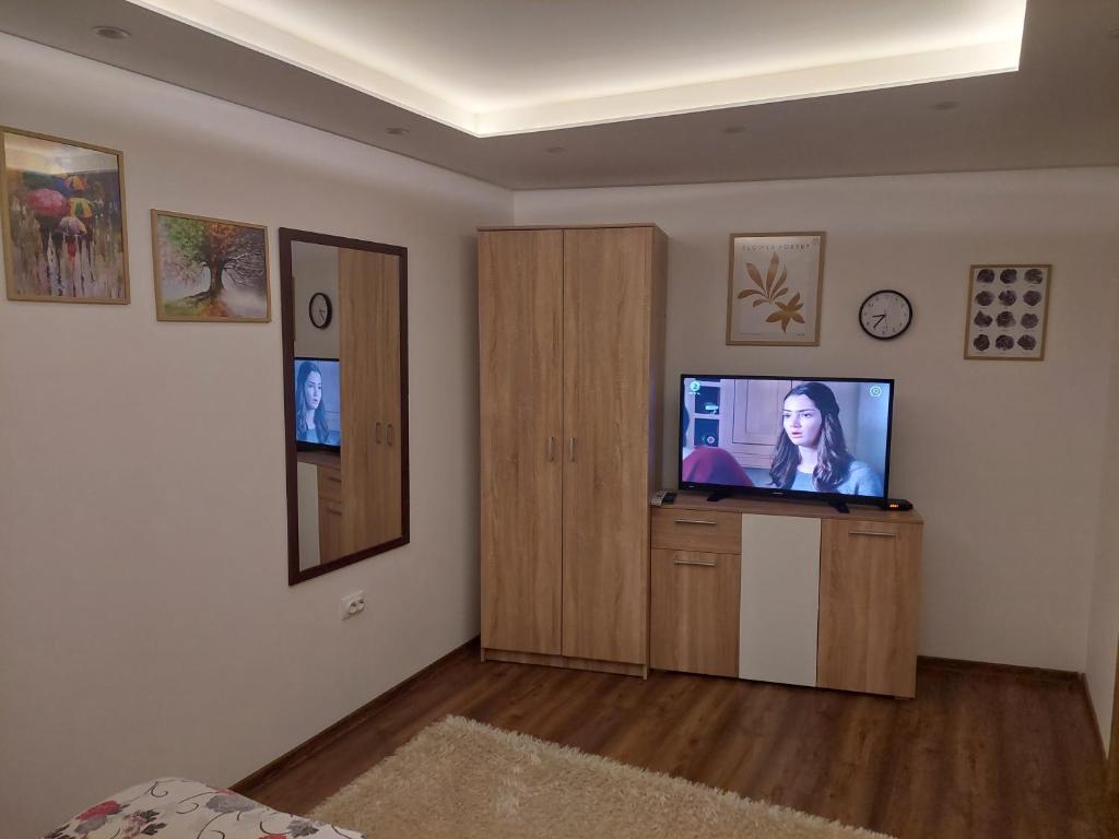 TV a/nebo společenská místnost v ubytování SKS