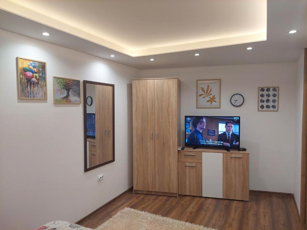 TV a/nebo společenská místnost v ubytování SKS