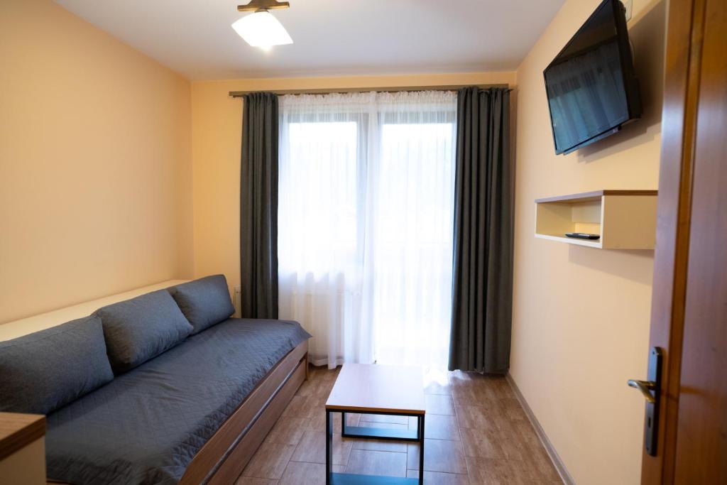 TV a/nebo společenská místnost v ubytování Apartamenty Sadowy