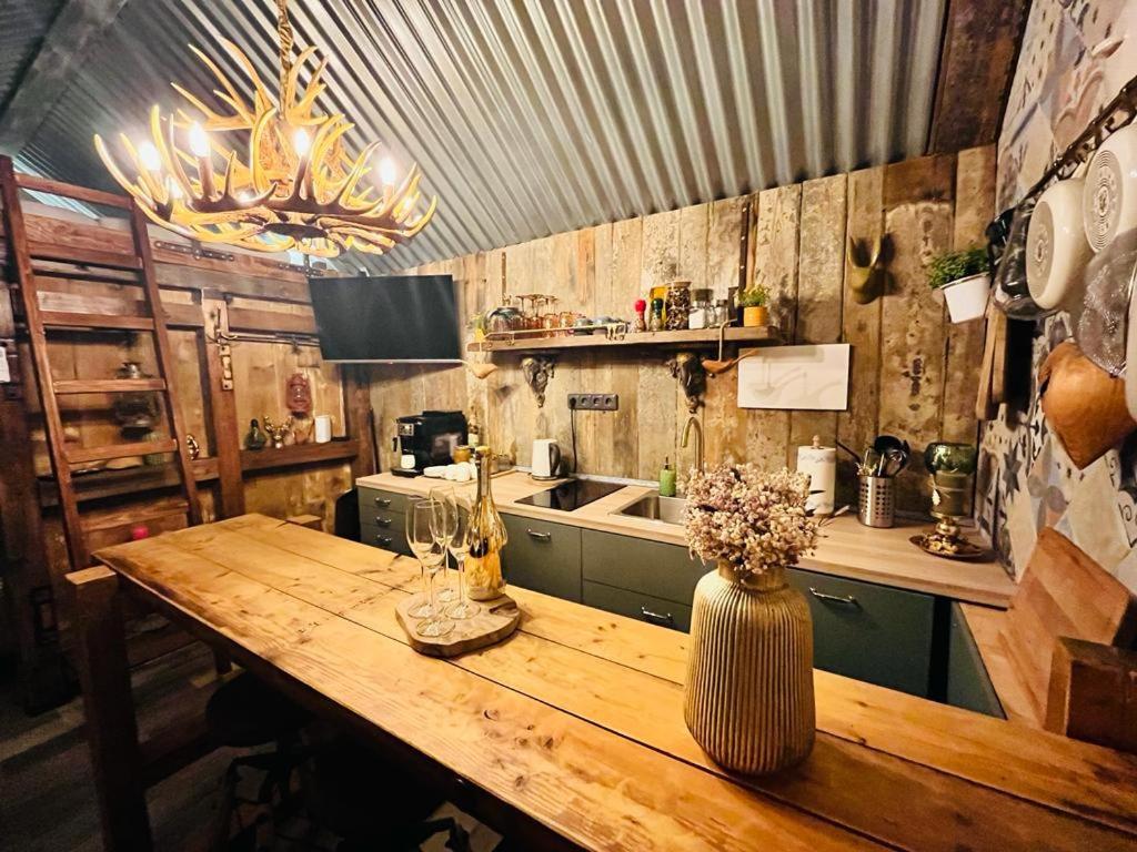 Majoituspaikan Tiny House Všemily keittiö tai keittotila