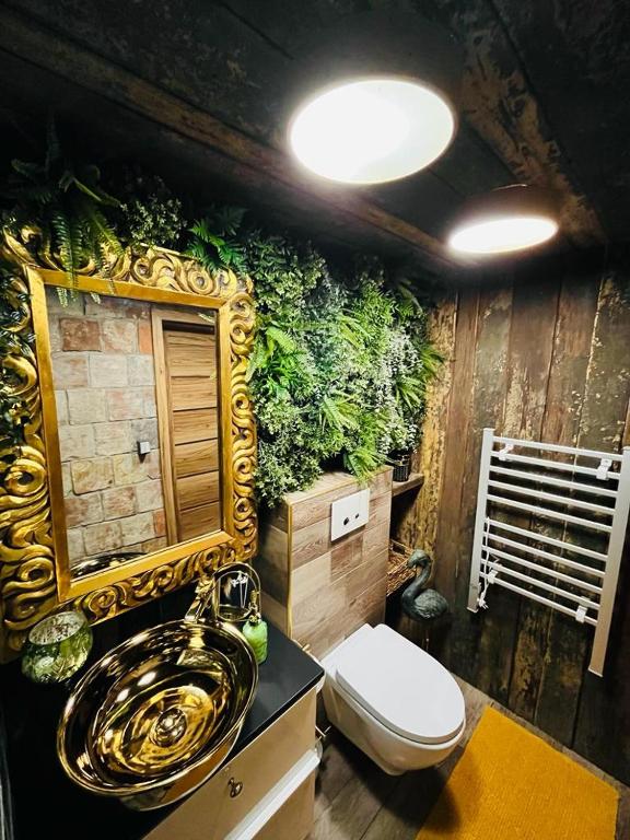Kuvagallerian kuva majoituspaikasta Tiny House Všemily, joka sijaitsee kohteessa Jetřichovice