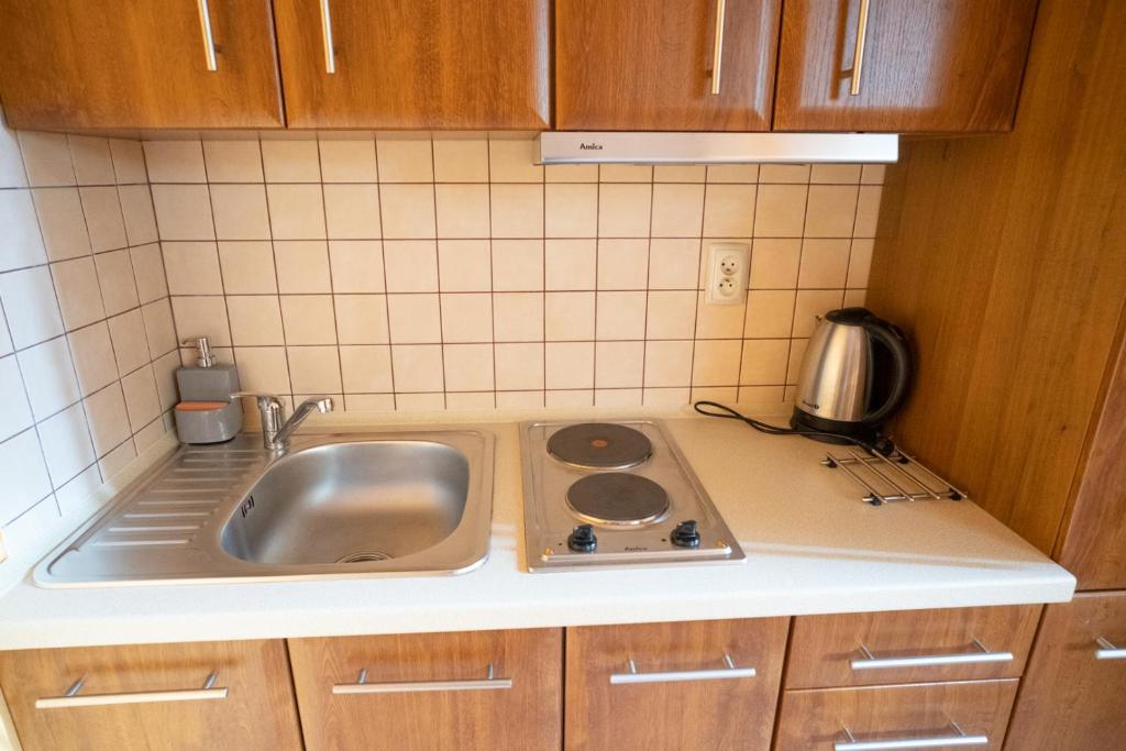 Kuchyň nebo kuchyňský kout v ubytování Apartamenty Sadowy