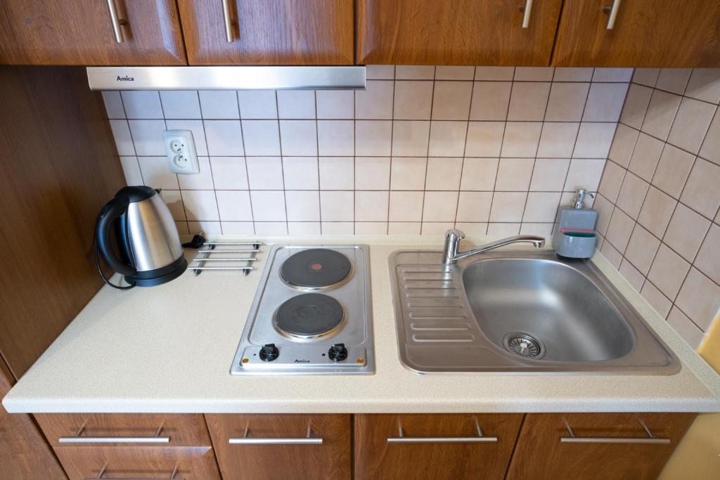 Kuchyň nebo kuchyňský kout v ubytování Apartamenty Sadowy