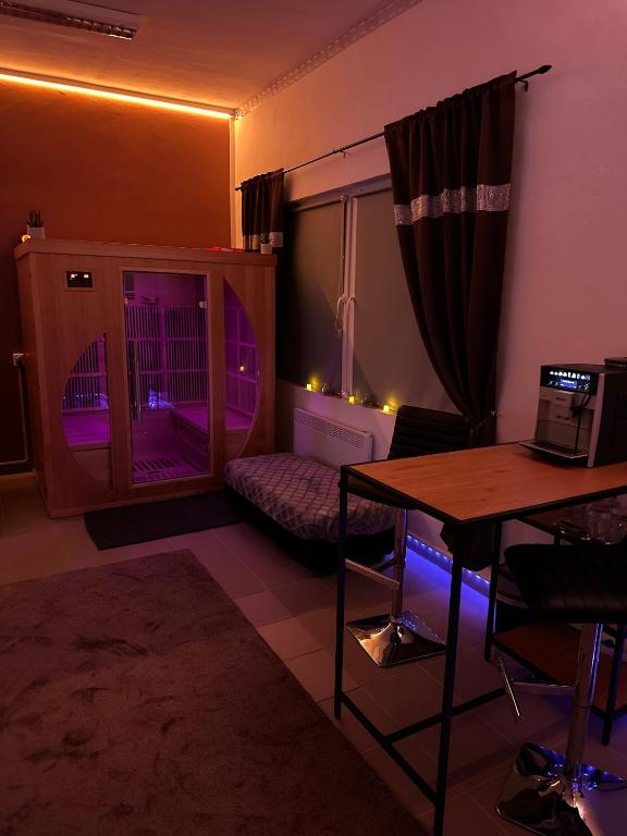 TV a/nebo společenská místnost v ubytování Relax studio Cheb