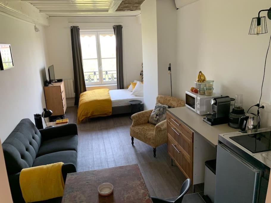 een woonkamer met een bank en een bed in een kamer bij Chez Alam à L'opéra de Lyon in Lyon
