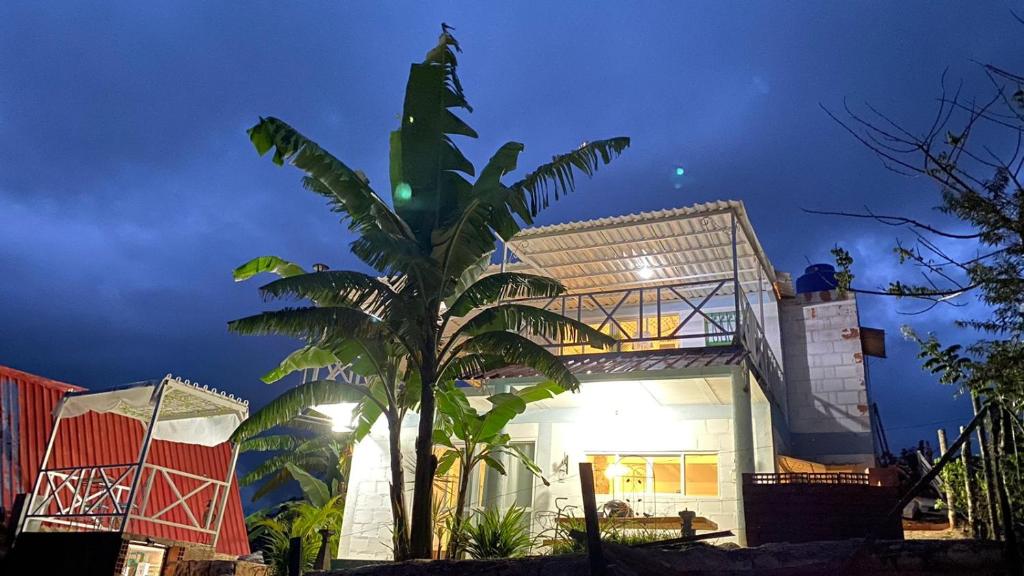 a palm tree in front of a building at night at Hermosa cabaña privada cerca a Tulua con jacuzzi in La Carmine