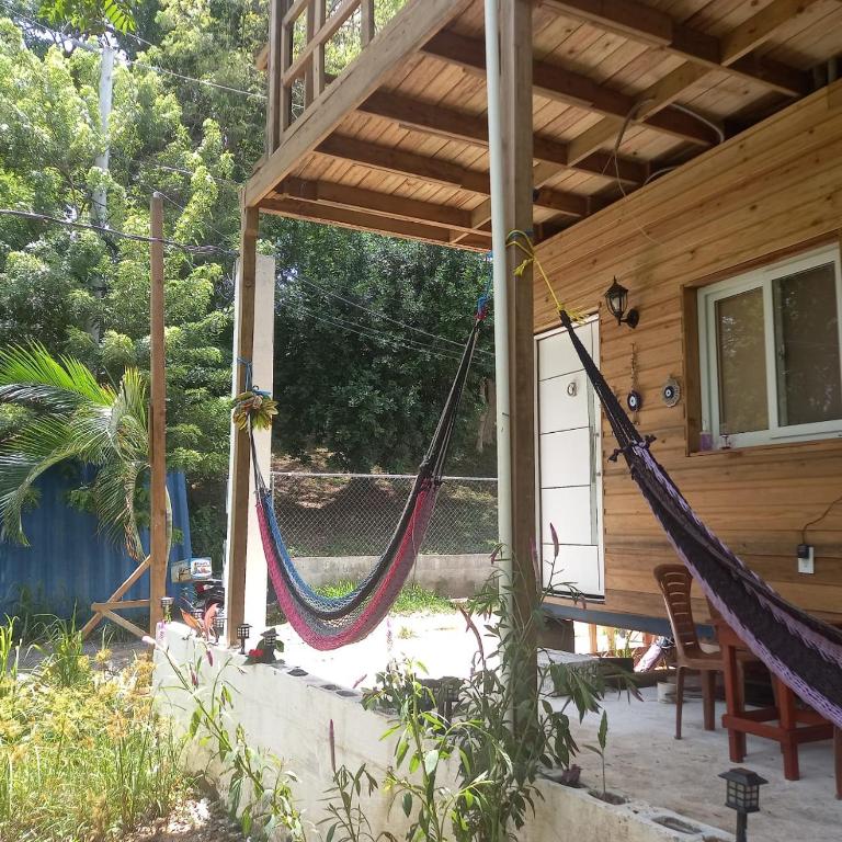 Zahrada ubytování TOnat Caribe Hostel01